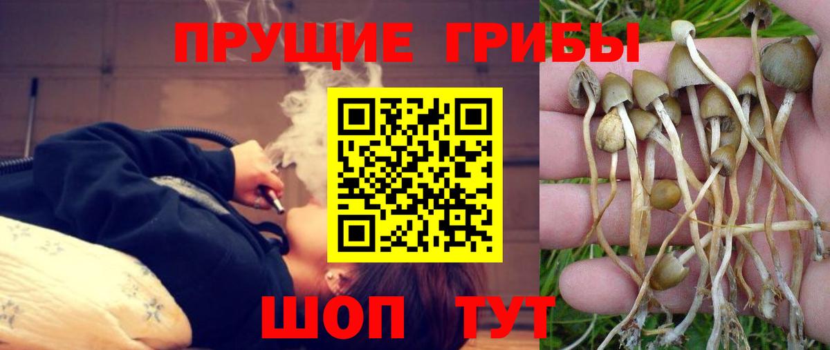 Галлюциногенные грибы GOLDEN TEACHER Стрежевой